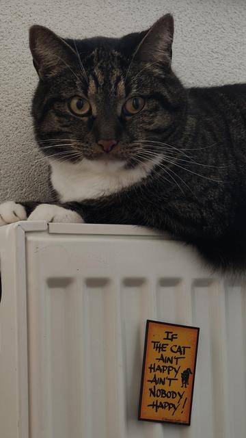 Kat ligt op een radiator. 
Op de radiator zit een magneet met tekst: If the cat ain't happy, ain't nobody happy.