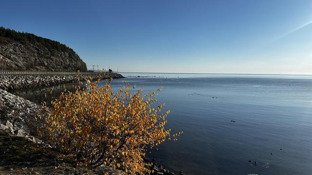 Im Vordergrund ein Strauch mit goldfarbenen Blättern. Links führt eine Strasse bogenförmig um einen Hügel. Das blaue Meer liegt ruhig unter blauem Himmel.
