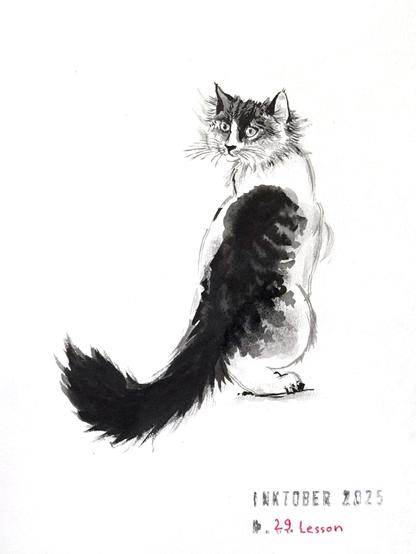 A black and grey ink drawing of a longhair cat, viewed from behind, looking back over its shoulder. The cat features distinct fur patterns in black, grey over white. The artwork is titled "Inktober 2025" and “29 Lesson”