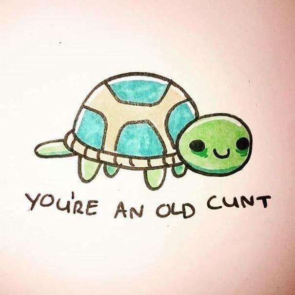 A illustrated turtle with a green head and a patterned shell, accompanied by the text, "YOU'RE AN OLD CUNT." The style is colorful and playful