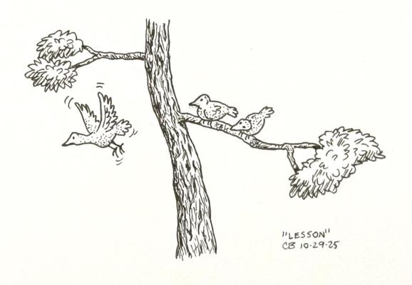 Ink drawing of a baby bird flapping wobbily as it leaps from a tree and goes for a test flight. Her siblings watch in curiosity, as they stay firmly planted on a branch.