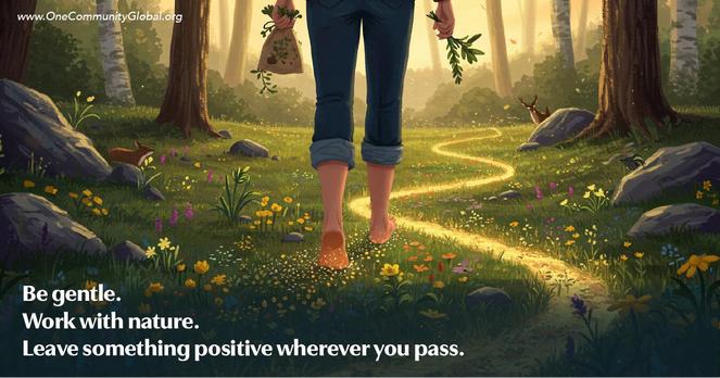 A person walks barefoot on a glowing forest path surrounded by flowers and trees, holding a small bag and plant cuttings. Text reads, “Be gentle. Work with nature. Leave something positive wherever you pass.”