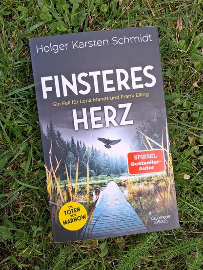 Cover des Buches Finsteres Herz