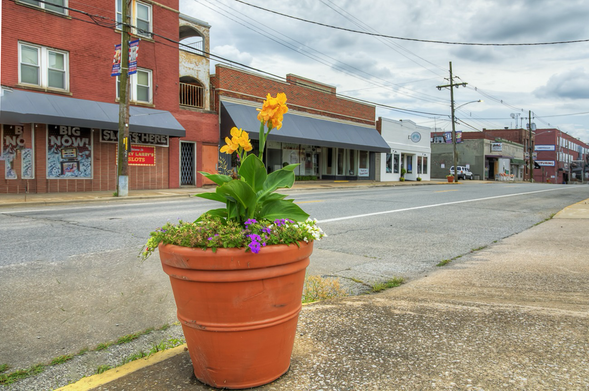 A large terracotta pot filled with vibrant flowers adds a splash of color to a quiet street lined with various shops and old brick buildings.