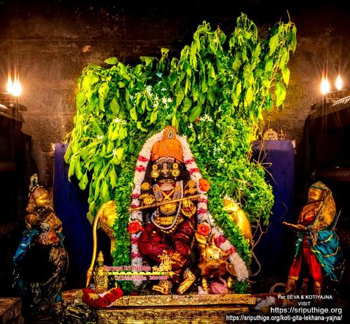 Idol of Hindu deity Krishna in shiny red ("grape red") standing casually on a gold-covered pedestal with left leg leaning rightward, right leg bent at the knee and crossing over the left leg, and right ankle lifted up; wearing gold shoes, gold palm coverings, an orange turban with a head ornament that looks like a peacock feather, and lots of gold ornaments; holding a gilded flute between hands. A thick string of green holy basil leaves and a string of white flowers (some red roses) around Krishna. A gilded cow stands behind Krishna with its head turned back and gazing at Krishna's feet. Several leaf-filled stalks of green holy basil behind the cow. Two female figurines, both dressed mainly in blue, stand in front of Krishna, one on each of his sides. The whole setting simulates Krishna standing under a dense tree with a cow behind him, and women adoring him.