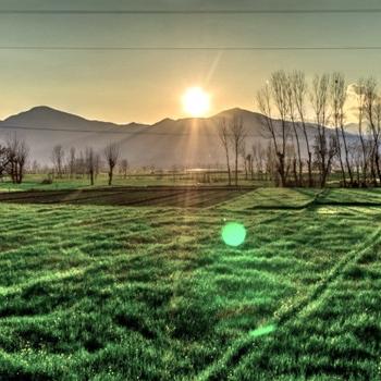 Sorry, no caption provided by author