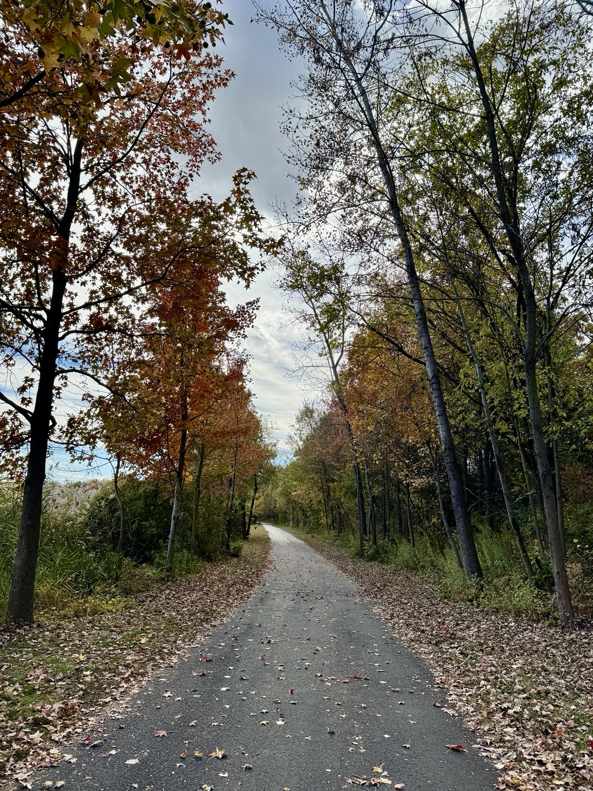 Sorry, no caption provided by author