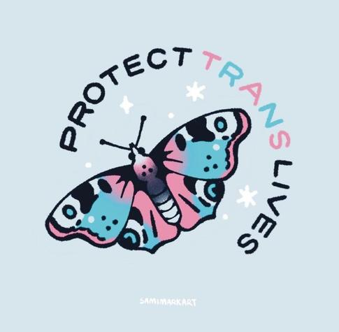A butterfly in trans colours, with "protect trans lives written around it in black, except the "trans" which is in trans colours. All in a light grey blue background