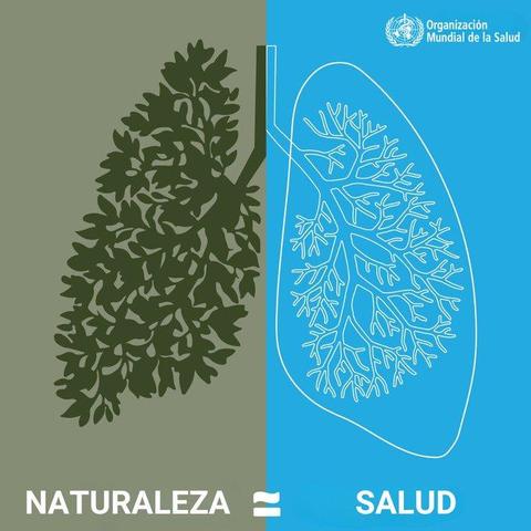 Naciones Unidas @ONU_es
🤍 El aire, el agua, el cambio climático
🔥🌎