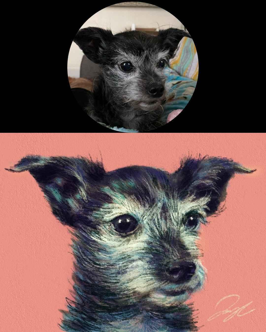 Photo of a small black and white dog in a circle at the top. Below is a painting of that dog with a coral background. The artist's signature is on the bottom right.