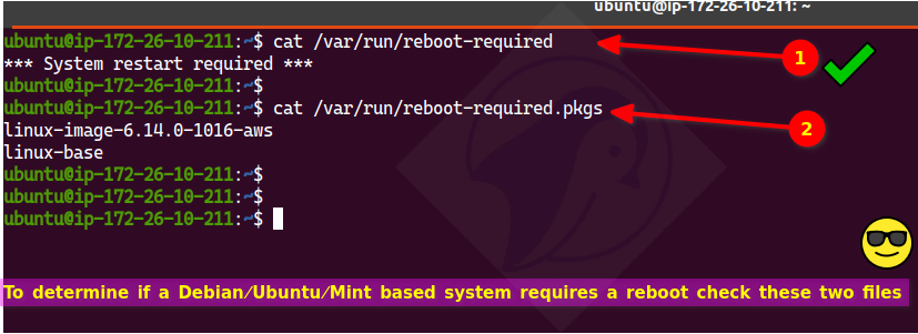 A screenshot showing how to find out if your Linux MInt, Ubuntu/Debian Linux server needs a reboot by checking var/run/reboot-required and var/run/reboot-required.pkgs files.