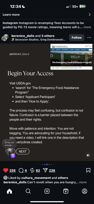 Post from @berenice_dolls on IG reads “Begin Your Access Visit USDA.gov • 'search' for 'The Emergency Food Assistance Program" • Select 'Applicant Participant' • and then 'How to Apply'. The process may feel confusing, but confusion is not failure. Confusion is a barrier placed between the people and their rights. Move with patience and intention. You are not begging. You are advocating for your household, if you need a video, I will link one in the description…”
