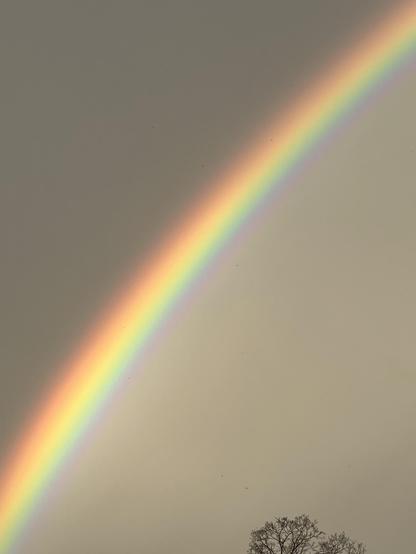 a closeup of the brightest spot in the lower arc. the colors were really vivid! 