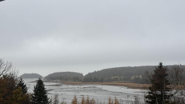 Die Bucht von Le Bic. Es ist Ebbe, der Himmel ist sehr tief grau verhangen. Ein paar Fichten säumen das Bild.