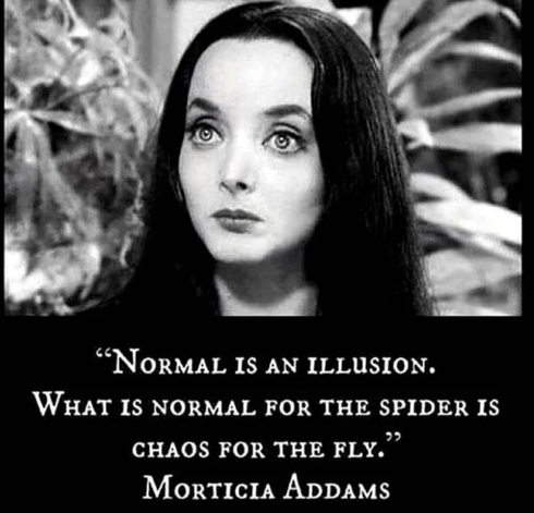 Photo of Morticia Addams above her quote: Normal is an illusion. What is normal for the spider is chaos for the fly.