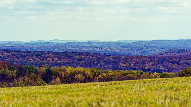 At the bottom is a grassy field cut a bit less than a foot high,  and above it progressively more distant hillsides covered with a variety of dark green evergreen trees as well as deciduous trees in various shades of light green, yellow, orange, red and grey