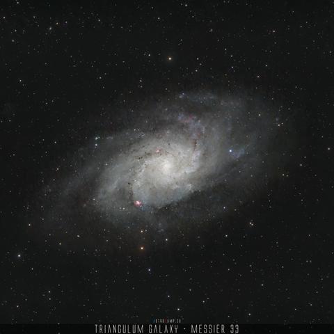 M33
