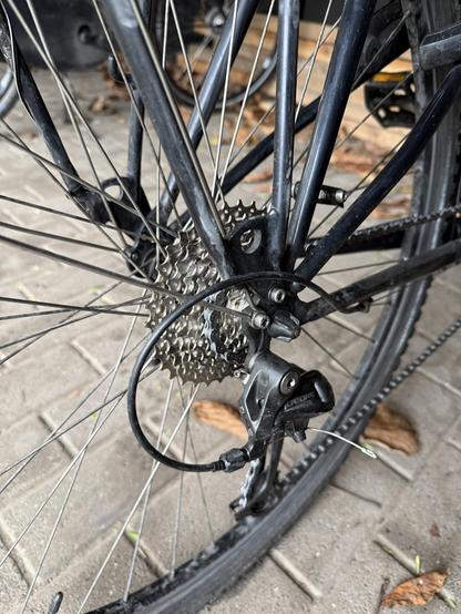 Wheel with new cassette and chain fully assembled in the bike.