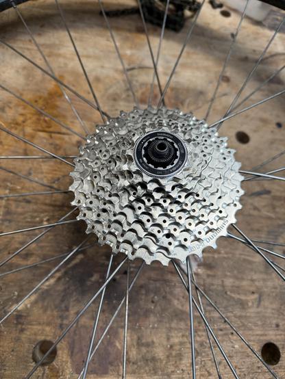 Brand spanking new cassette mounted on the wheel.