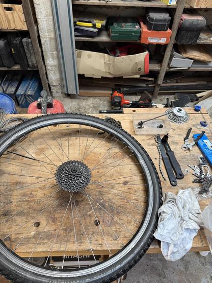 Rear bike wheel on a workbench with bike tools visible including a new cassette.
