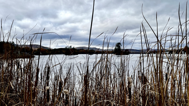 Photograph of a lake and mountains on a cloudy autumn day with cattails across the foreground of the image.