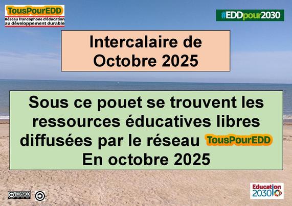 Intercalaire Octobre 2025