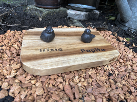 Grave of canaries: wood with their names ingraved. On the wood are sitting two cast iron little bird