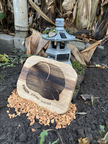 Grave of cat: wood with an engraved stylised picture of the cat, his name and years. In the back is a stone with a little solar lantern and some moss.