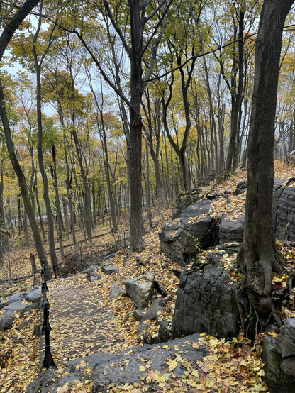 A path in Mount Royal Park