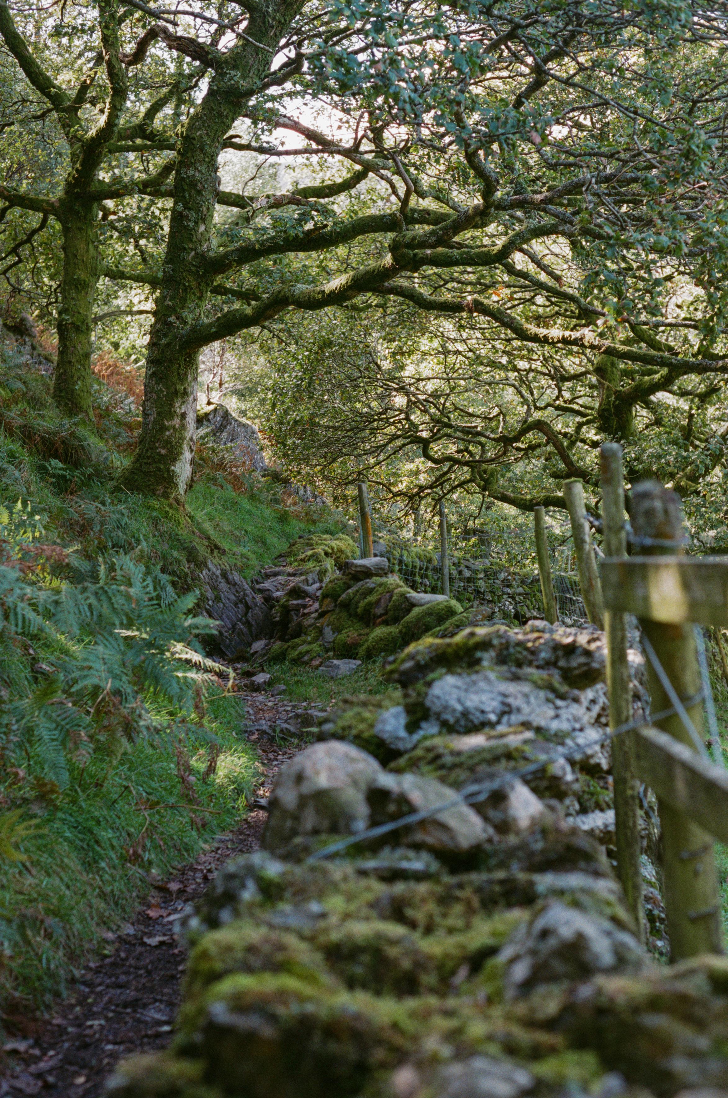 A winding dirt path next to dry-stone wall with a wooden fence on top of it on one side.