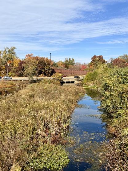 A part of Wetland Park with I-66 in the distance