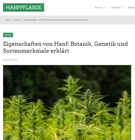 Die Hanfpflanze (Cannabis) ist unglaublich vielfältig. Auch wenn sie botanisch dem Hopfen ähnelt, mit ihren charakteristischen fingerförmigen Blättern und Blüten, offenbart ein genauerer Blick riesige Unterschiede zwischen den einzelnen Sorten. Woran liegt das? Die Antwort liegt in der Genetik und der Anpassung an unterschiedlichste Umgebungen – eine tropische Sativa unterscheidet sich fundamental von einer Ruderalis-Pflanze vom Polarkreis oder einer Indica aus dem Hochgebirge. Dieser Artikel erklärt dir die grundlegenden botanischen Eigenschaften von Hanf und die wichtigsten Merkmale der verschiedenen Hauptcannabissorten.

https://hanfpflanze.org/botanik/eigenschaften