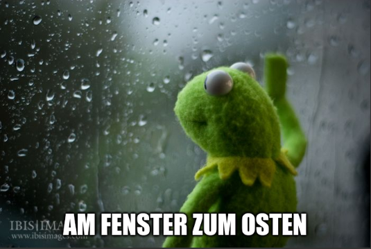 Deprimierter Kermit steht an einem regennassen Fenster. Unten steht: Am Fenster zum Osten.