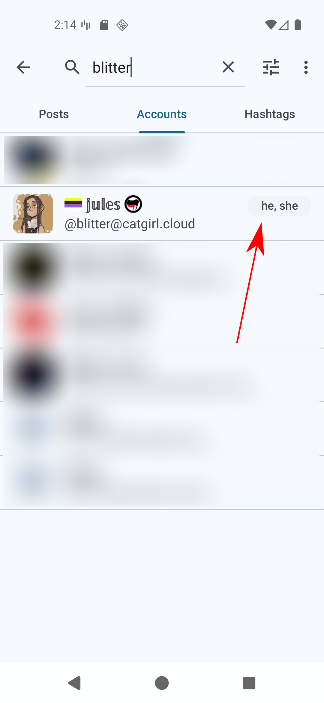 Pachli Current screenshot showing search results for accounts, with the pronouns of an account included in the results.