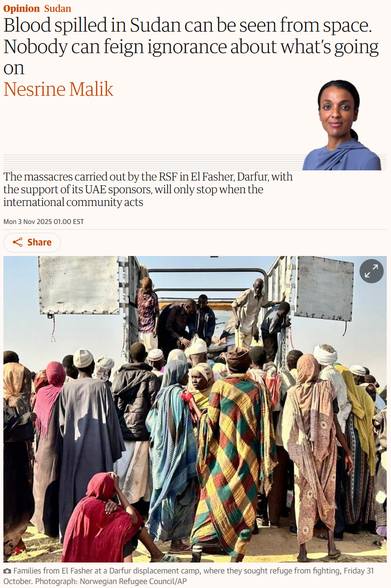
Opinion
Sudan
Blood spilled in Sudan can be seen from space. Nobody can feign ignorance about what’s going on
Nesrine Malik
Nesrine Malik
The massacres carried out by the RSF in El Fasher, Darfur, with the support of its UAE sponsors, will only stop when the international community acts

Mon 3 Nov 2025 01.00 EST
Share
Families from El Fasher at a Darfur displacement camp, where they sought refuge from fighting, Friday 31 October. Photograph: Norwegian Refugee Council/AP