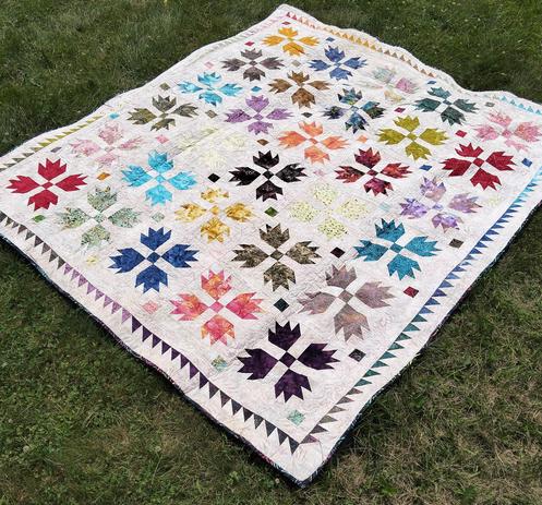 a 30-window quilt, each window a different bearpaw design, 4 of them around a single square, the border is strips of thin triangles, on a light backing 