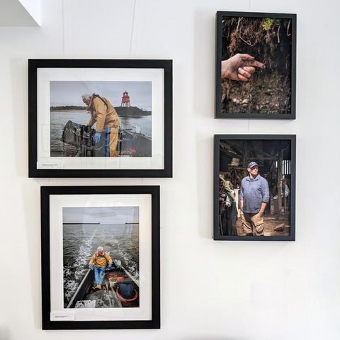 Contemporary photographs