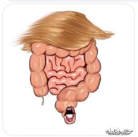 Image of a face made out of intestines with Trump’s hair and the asshole is a mouth.