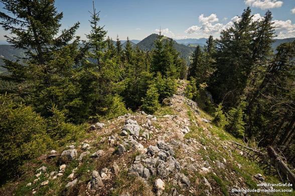 A rocky trail winds upward through a vibrant forest, the path strewn with sunlit stones and patches of dry grass. Tall pines, their needles a rich green, stand guard on either side, their branches swaying gently in the mountain breeze. The air is crisp and clear, carrying the fresh scent of pine and earth. Above, the sky stretches wide and blue, dotted with fluffy white clouds that cast soft shadows on the landscape below.

In the distance, rolling hills and rugged peaks rise against the horizo…