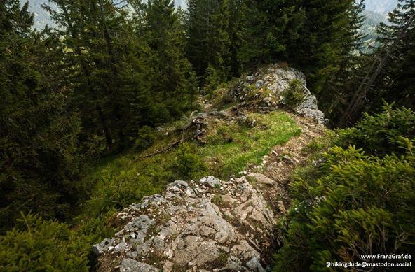 A rugged, narrow trail cuts through a dense forest, its path lined with weathered rocks and patches of vibrant green moss. The towering pines and firs, their branches thick with needles, create a lush canopy overhead, casting dappled shadows on the forest floor. The air is cool and still, filled with the earthy scent of damp soil and pine resin.

The trail ascends a rocky outcrop, its surface a mosaic of gray and brown stones, some covered in a thin layer of moss and lichen. The rocks, worn smo…