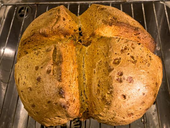 frisch gebackener Brotlaib auf Backofengitter