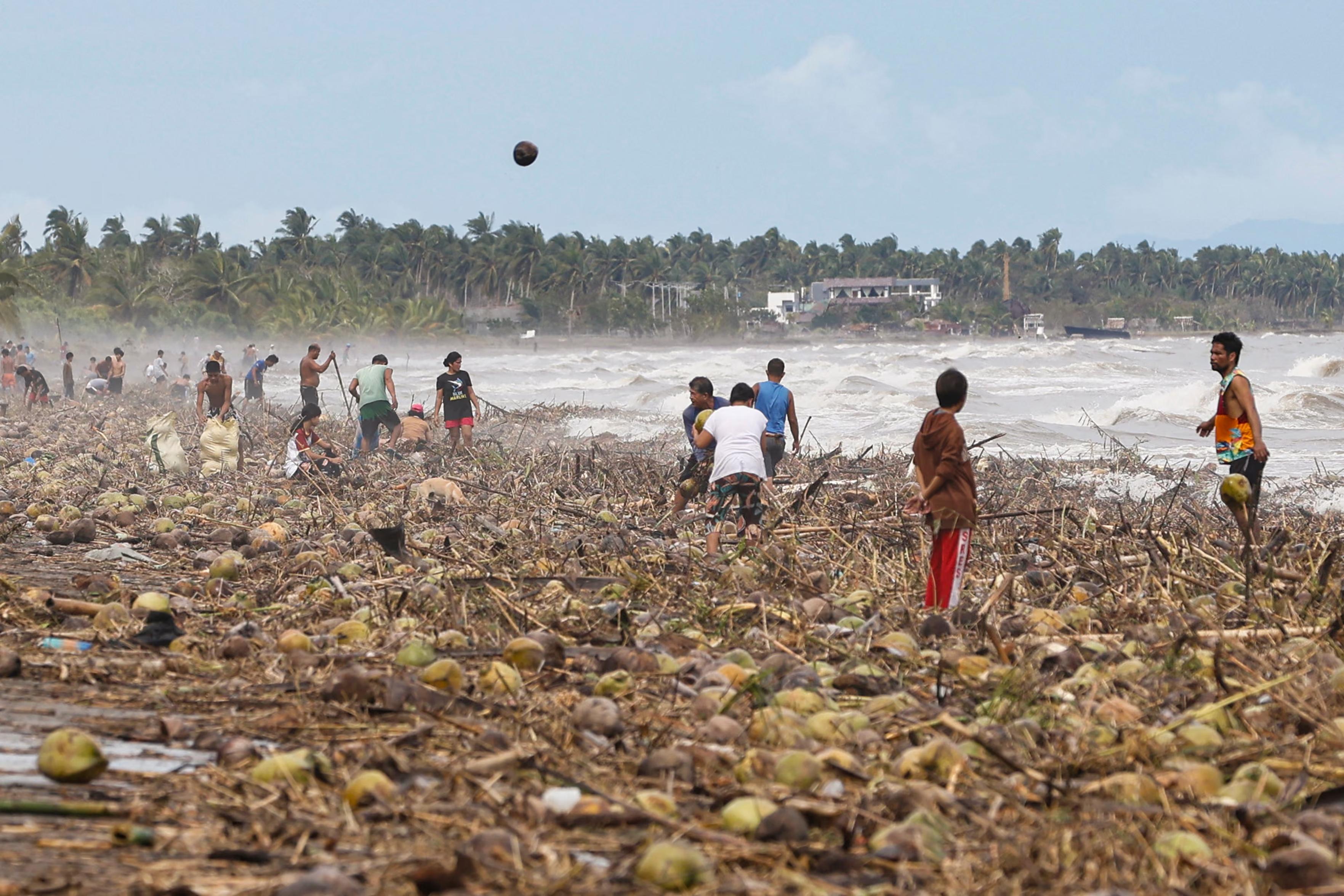 People gather coconuts washed ashore by Typhoon Kalmaegi in Leyte province.