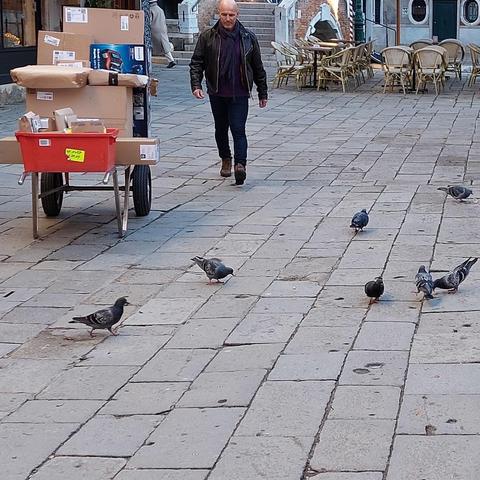 Buongiorno. Schauen Sie nur, jemand hat die Tauben gefüttert! Dabei ist das doch streng verboten. Wer würde so etwas wohl machen? Saluti, Mafalda Cinquetti aus #Venedig
