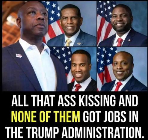 Magats come in all flavors, and these motherfuckers are definitely not Rocky Road. More like Bootlicker Black!