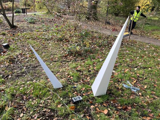 A pair of large, sharp, white points stab out of the grassy and leafy ground. The bases of a couple of trees are visible in the background along with my accomplice leaning on a post in hi-vis.