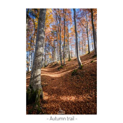 In Autumn, dead leaves are covering a trail in the Jura Mountains.