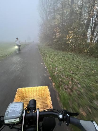 Foto von einem fahrenden Pedelec fotografiert, man sieht im Vordergrund den Lenker und einen Lenkerkorb. 

Ein Feldweg entlang einer Baumreihe im Herbst, die schon die meisten Blätter verloren hat. Es ist neblig. Der Lichtstrahl einer entgegen kommenden Radfahrerin dringt nur mühsam durch den Nebel