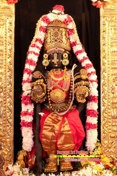 Idol of Hindu deity Krishna in red standing with the left knee ever so slightly bent and left foot ever so slightly raised as if stepping to some music he finds entertaining. The front of the pant legs show off a vertical stripe made by embroidered gold; hands in blessing pose; wearing gold shoes, gold palm coverings, gold crown, and lots of gold ornaments including a large oval Lakshmee medallion. A string of white flowers and red flowers (banded) around Krishna floor-floor. Just the sides of a gold arch around Krishna are visible. Dark cloth interior between the sides, behind Krishna. Assorted loose flowers at Krishna's feet.