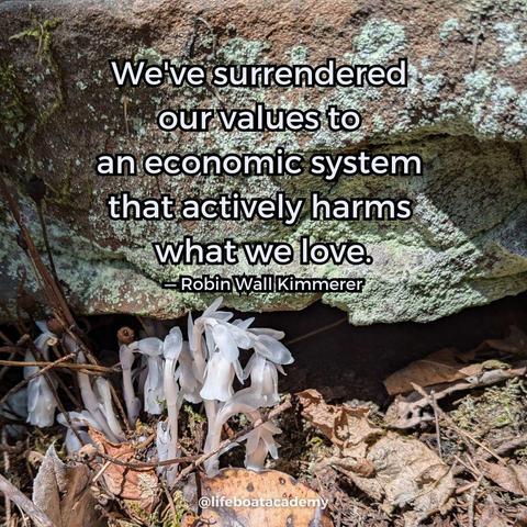 A social post from @lifeboatacademy which says: "We've surrendered our values to an economic system that actively harms what we love." — Robin Wall Kimmerer