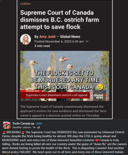 Flocks are being killed all over our country under the guise of "Avian flu", yet the owners were denied testing to prove the health of the flock.  